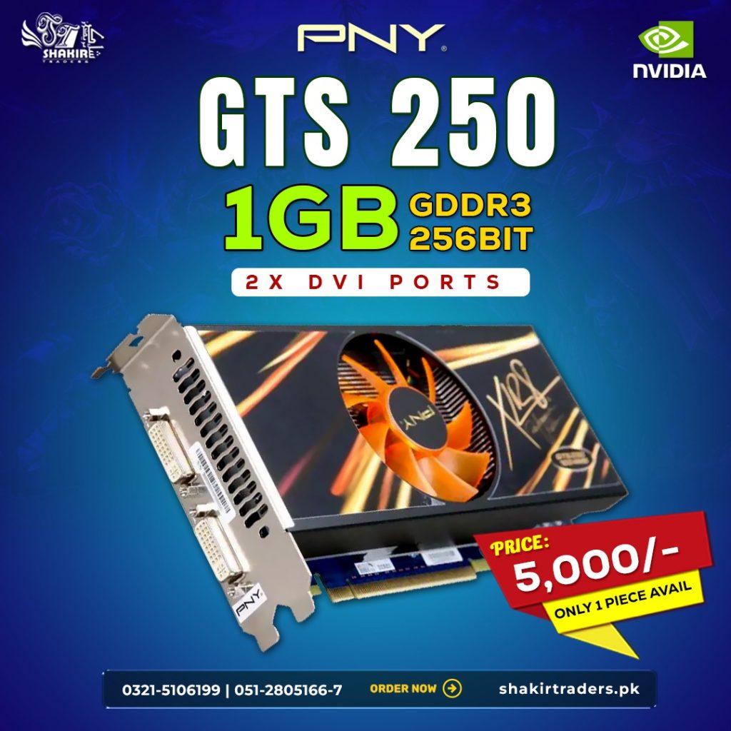 PNY GTS 250 1GB (Used)
