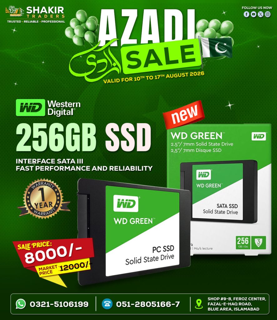 256GB WD Green SSD (China)