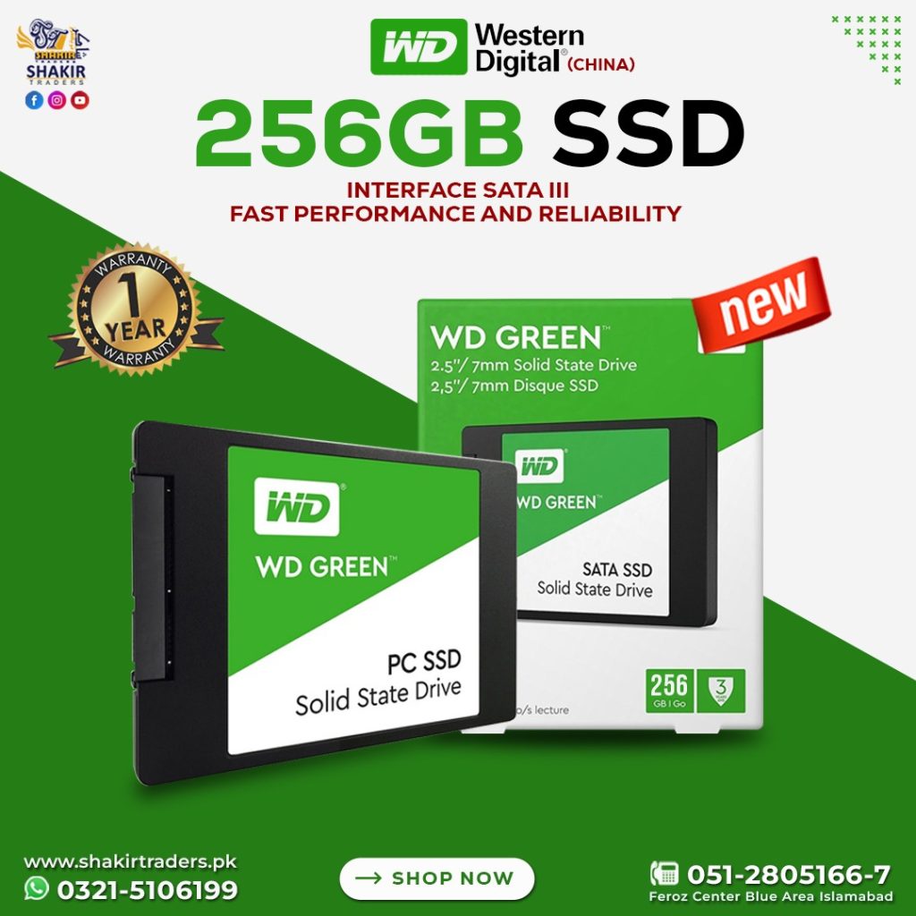 256GB WD Green SSD (China)