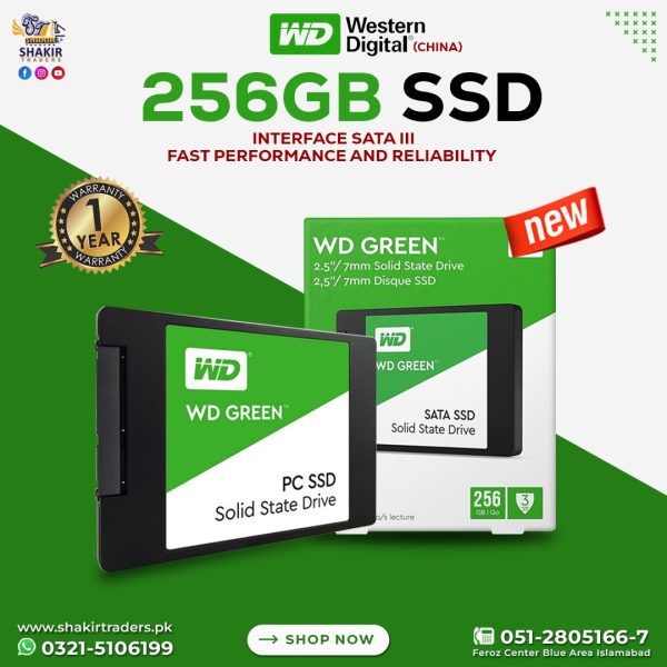 256GB WD Green SSD (China)