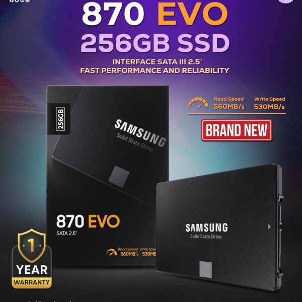 256GB Samsung 870 EVO (China)